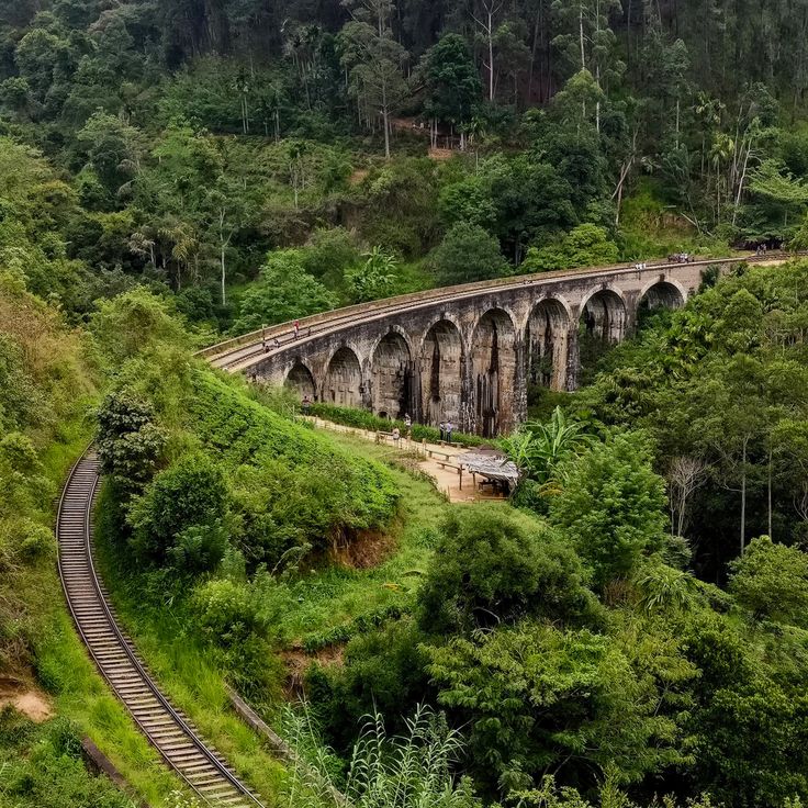 Pont aux Neuf Arches