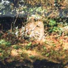 Milestone, Rye Road, E of "Clayhill"