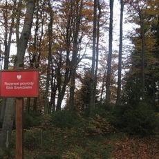 Rezerwat przyrody Stok Szyndzielni