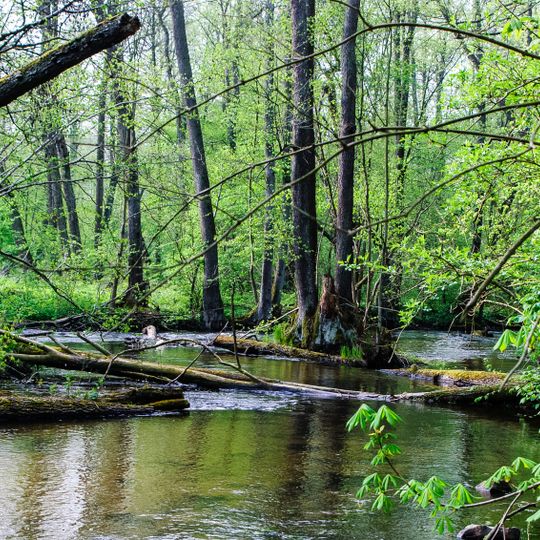 Nature reserve Piekiełko