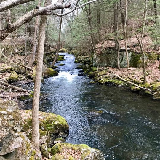 Hancock Brook Trail