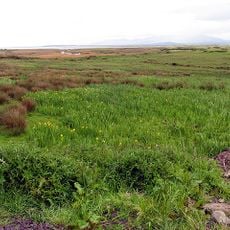 Dingle Marshes