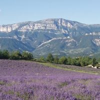 Drôme