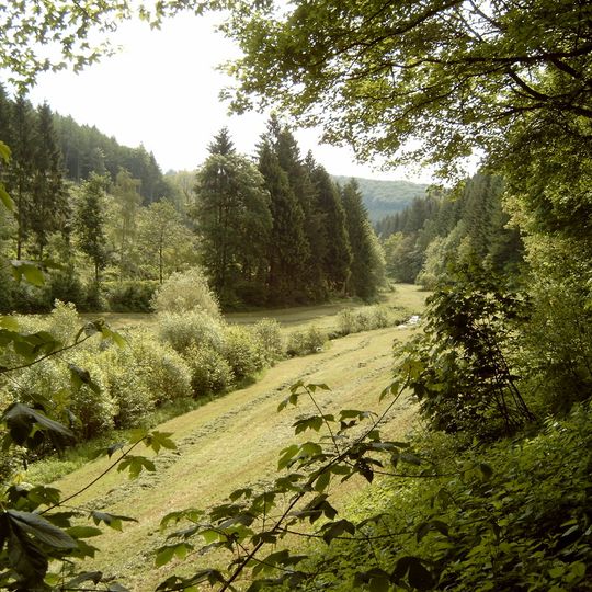 Oberlauf der Henne südöstlich Oberhenneborn