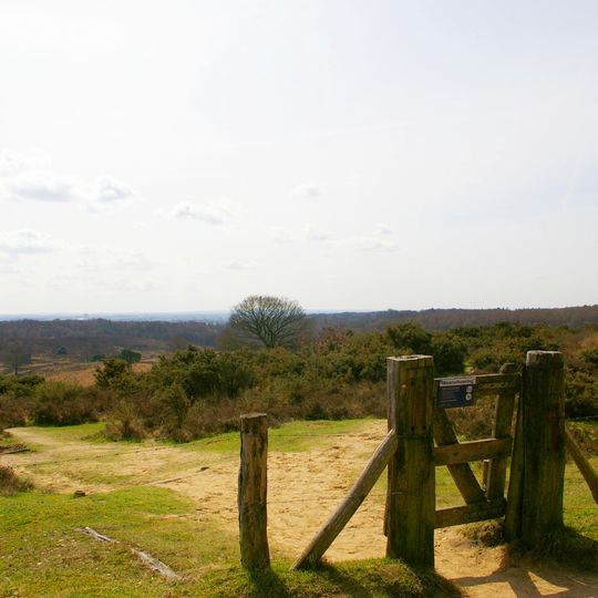 Nationalpark Veluwezoom