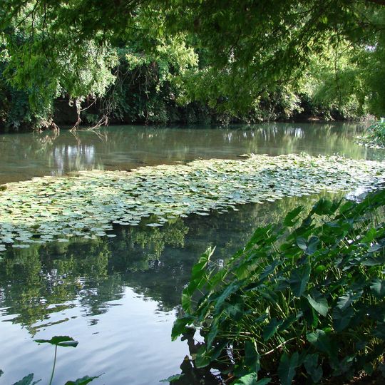 Comal River