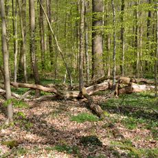 Landschaftsbestandteile und Landschaftsteile im Bereich mehrerer Gemeinden (2)