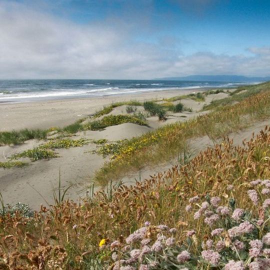 Humboldt Bay National Wildlife Refuge