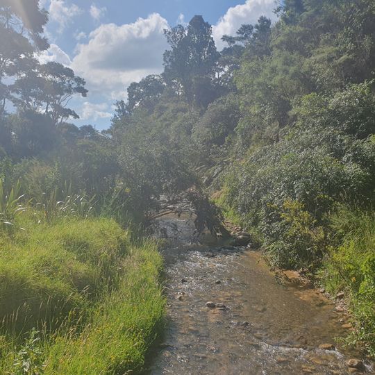 Tapapakanga Stream