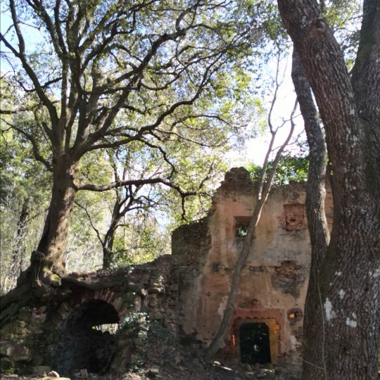 Convento di Santa Maria a Monte di Muro