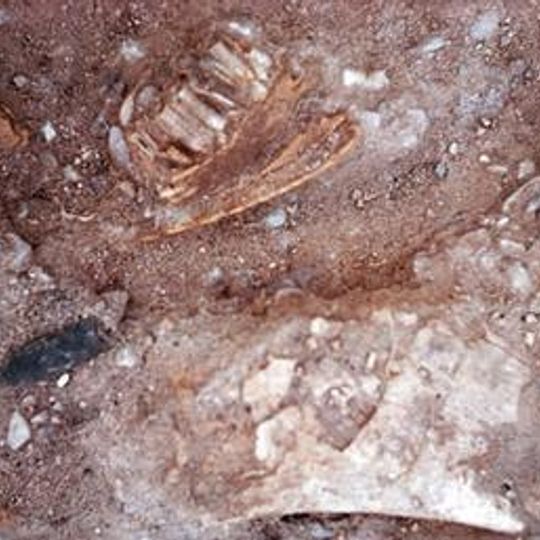 Lehner Mammoth-Kill Site