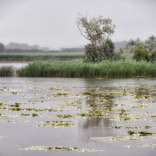 Lake Kolon at Izsák