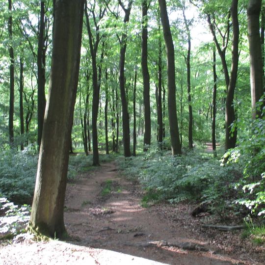 Saarn-Selbecker Hochflächen