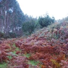 Castro da Croa de Leixa