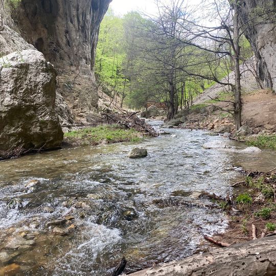 Мала прераст