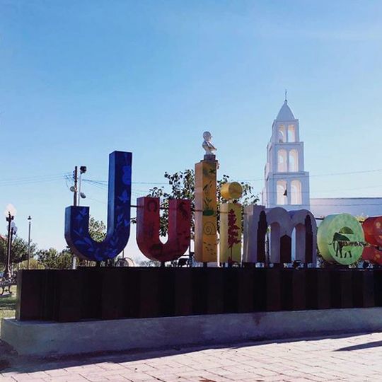 Julimes Municipality