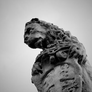 Statues of lions in Somma Lombardo