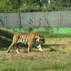 Safaripark Pombia
