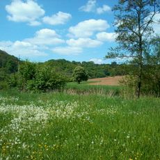 Kochertal zwischen Schwäbisch Hall und Weilersbach mit Nebentälern