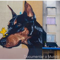 Projecto Matilha