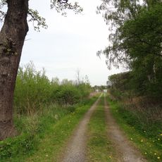 LSG-Herringer Sundern