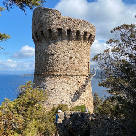 Peretto Les Roseaux