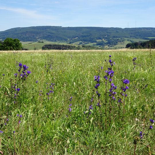 Rösberg bei Rommerode