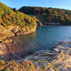 Cellar Bay