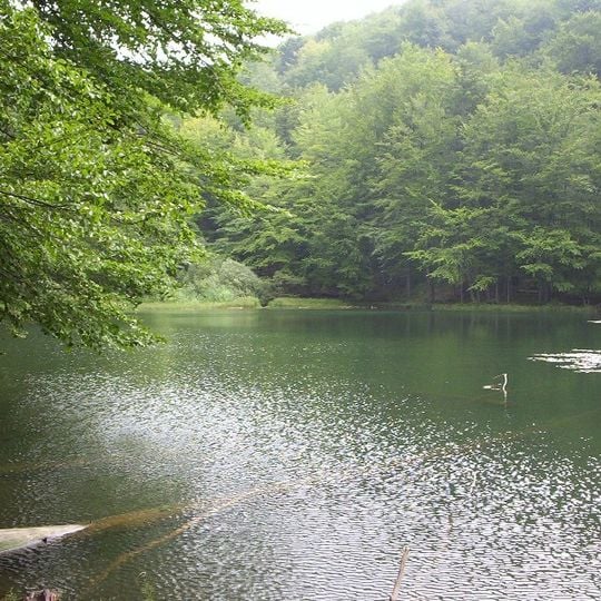 Ciśniańsko-Wetliński Park Krajobrazowy