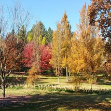 John A. Finch Arboretum