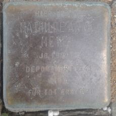 Mathilde Anna Meyer