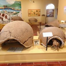 Museo de Ciencias Naturales Gesué Pedro Noseda