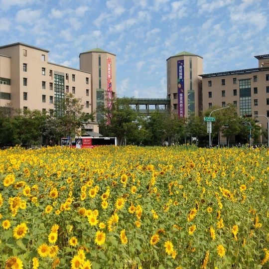 National University of Kaohsiung