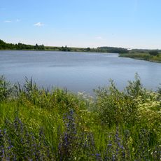 Janušoniai Reservoir