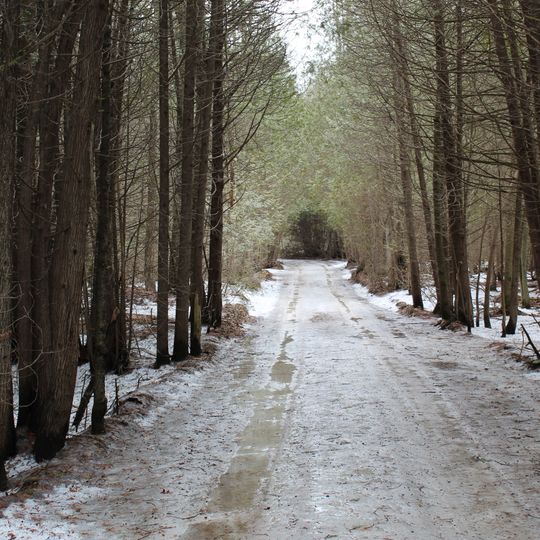 Allan Park Conservation Area