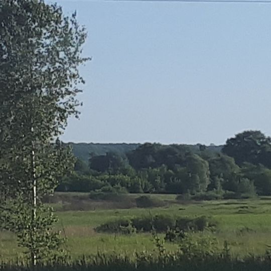 Коровинський заказник