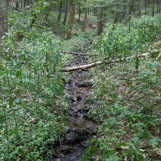 Quellgebiet der Henne