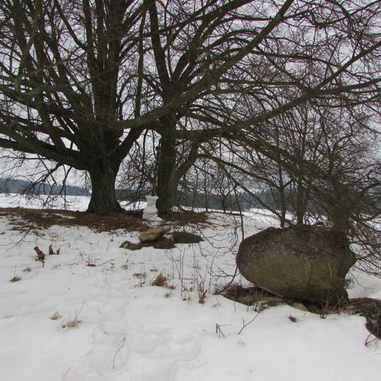 Kříž západně od Janovic u hlavní silnice
