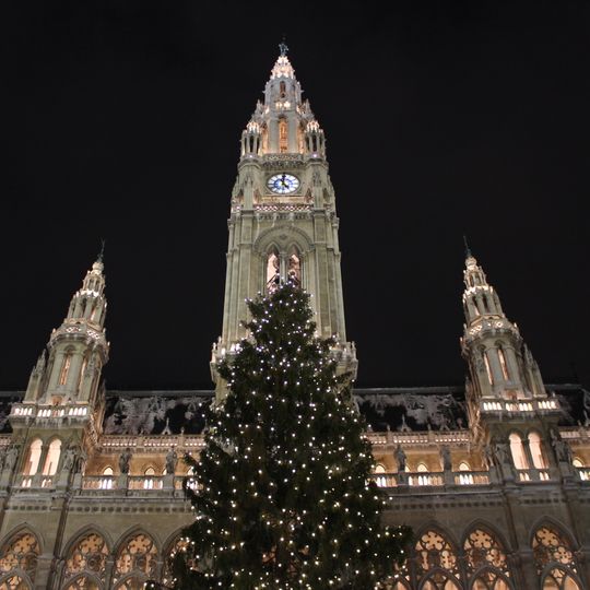 Christmas trees on Rathausplatz, Vienna