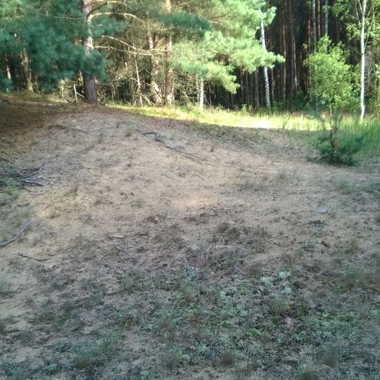 Naturdenkmal Düne nördlich der Straße von Albertshof nach Rüdnitz, südlich der Kavelsiedlung, Krähenberge in Rüdnitz