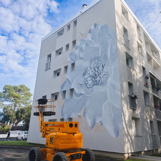 Vous qui passez sans me voir