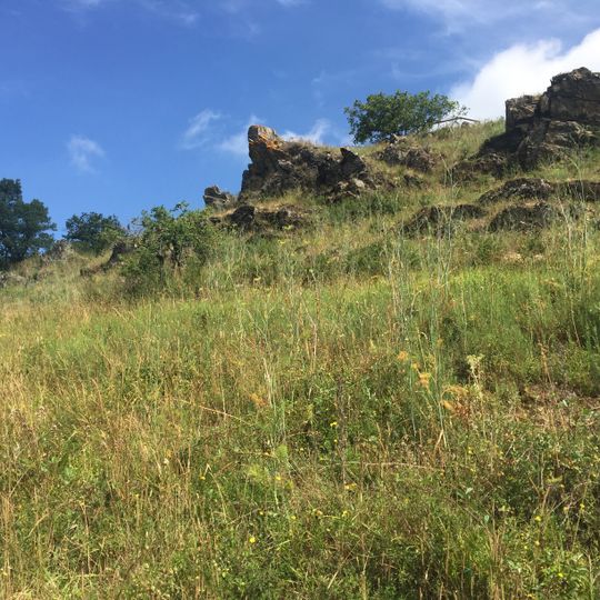 Coteaux Du Pont-Barré