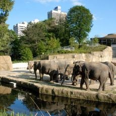 Cologne Zoological Garden