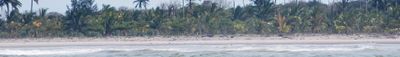 Panoramic View 1