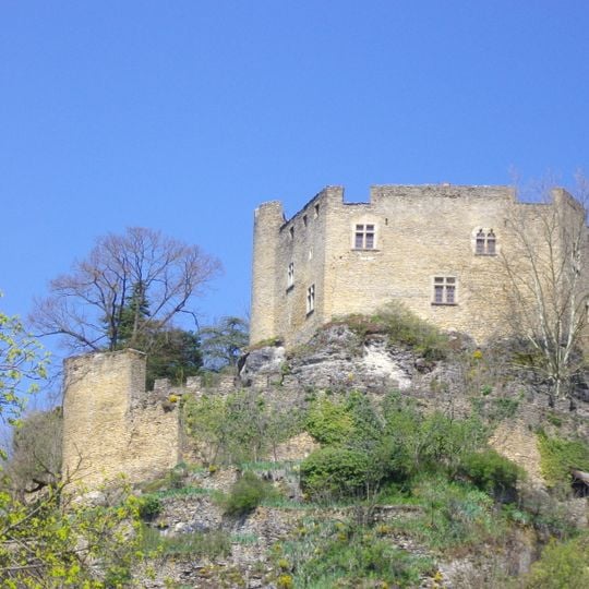 Château Delphinal