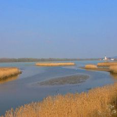 Vogelfreistätte Mittlere Isarstauseen