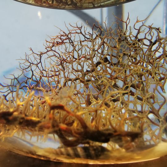 Planetario San Sebastián