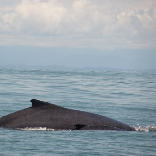 Uramba Bahía Málaga National Natural Park