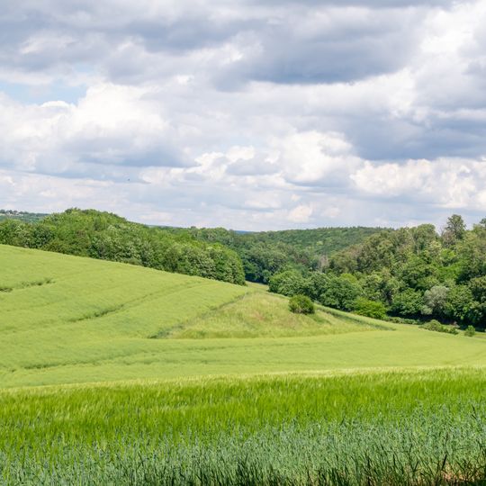 LSG Südlicher Kreis Höxter