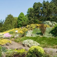 Botanic Garden of the Jagiellonian University